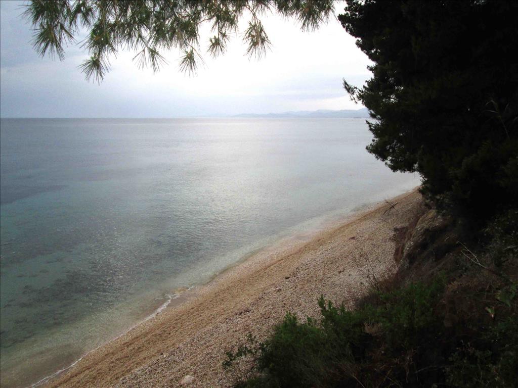 Οικόπεδο 54.096 τ.μ. προς πώληση, Κέντρο Σιθωνίας