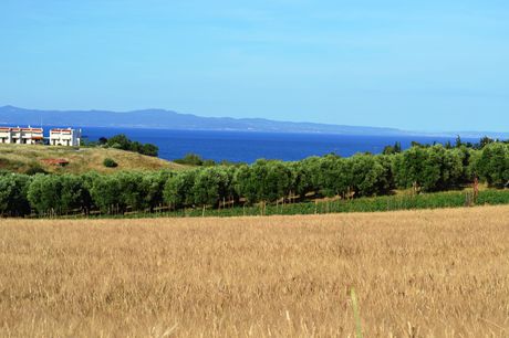 Land plot 6.000sqm for sale-Moudania » Nea Potidaia