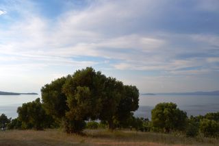 Οικόπεδο 19.000 τ.μ. για πώληση
