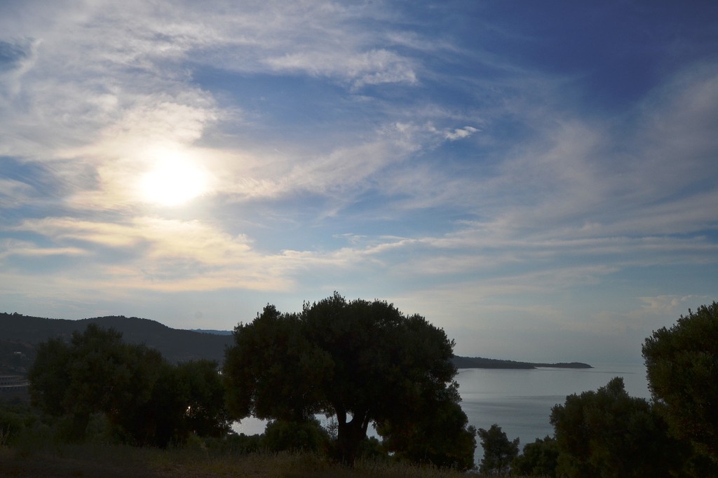 Οικόπεδο 19.000 τ.μ. προς πώληση, Παλιούρι Παλλήνης