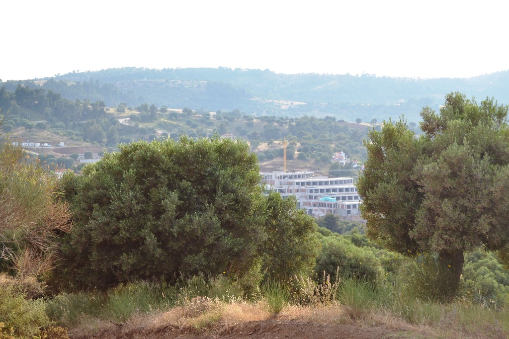 Οικόπεδο 19.000 τ.μ. προς πώληση, Παλιούρι Παλλήνης