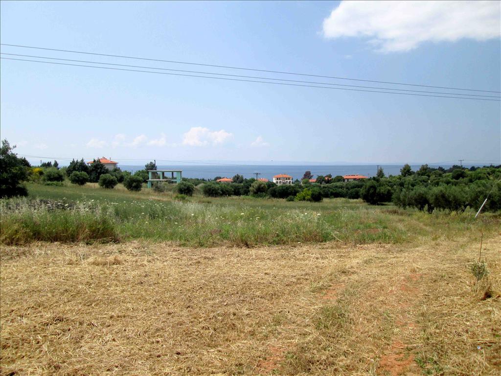 Οικόπεδο 6.534 τ.μ. προς πώληση, Άγιος Νικόλαος Σιθωνίας