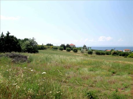 Land plot 6.534sqm for sale-Sithonia » Agios Nikolaos