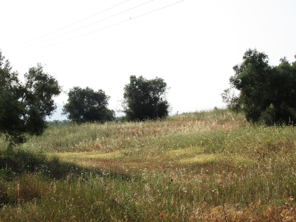 Οικόπεδο 12.000 τ.μ. προς πώληση, Μετόχι Ορμύλιας