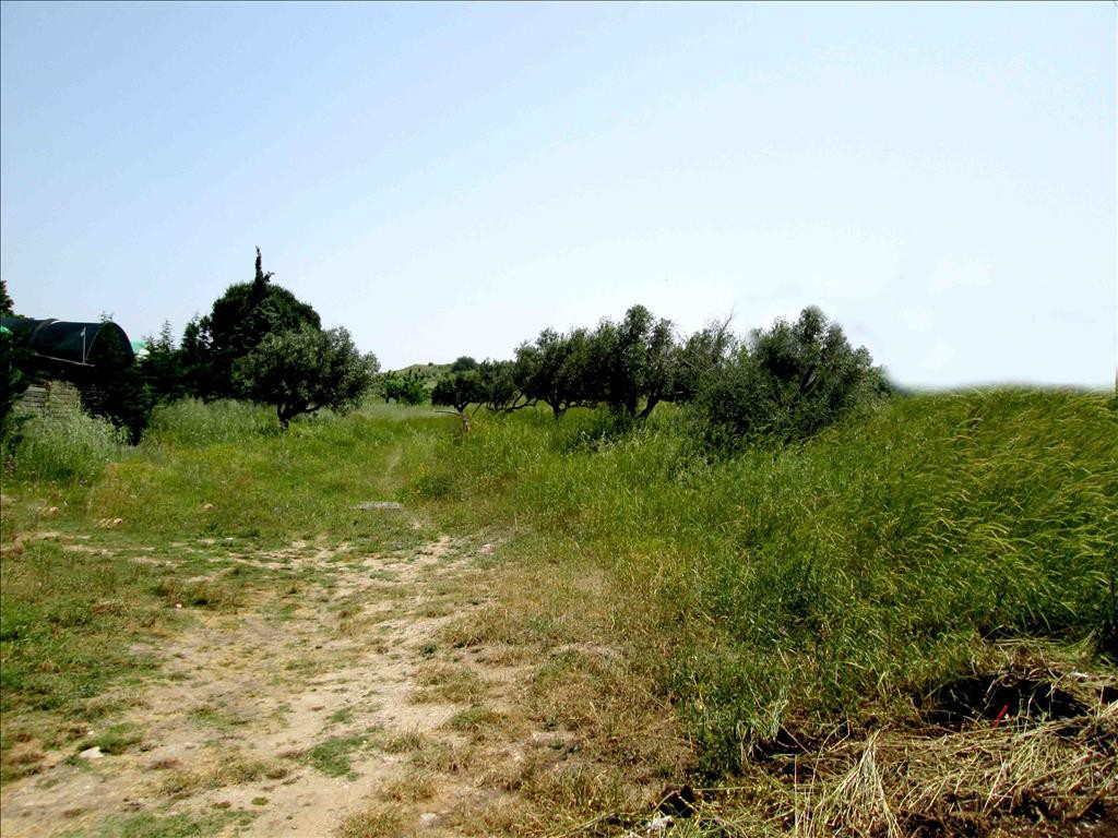Οικόπεδο 3.100 τ.μ. προς πώληση, Άγιος Νικόλαος Σιθωνίας
