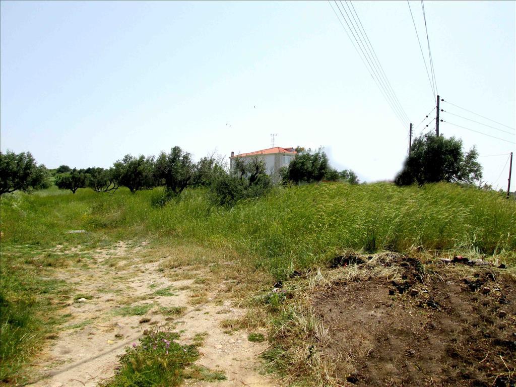 Οικόπεδο 3.100 τ.μ. προς πώληση, Άγιος Νικόλαος Σιθωνίας