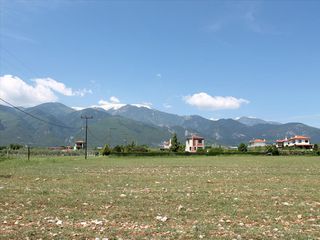 Οικόπεδο 6.100 τ.μ. για πώληση