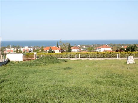 Land plot 4.000sqm for sale-Easts Olimpos » Leptokarya