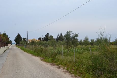 Land plot 4.000sqm for sale-Corfu » Thinalio