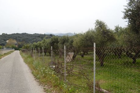Land plot 9.000sqm for sale-Corfu » Thinalio