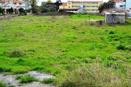 Land plot 5.300sqm for sale-Kassandra » Fourka
