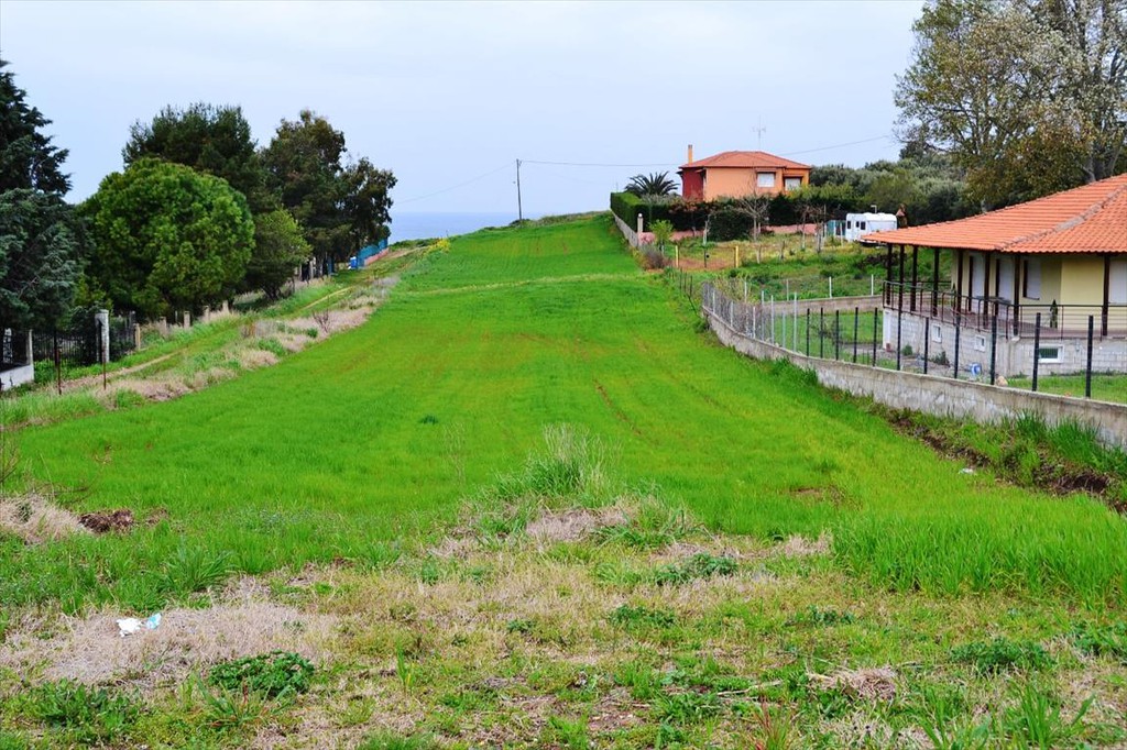 Οικόπεδο 3.050 τ.μ. προς πώληση, Νέα Ποτίδαια