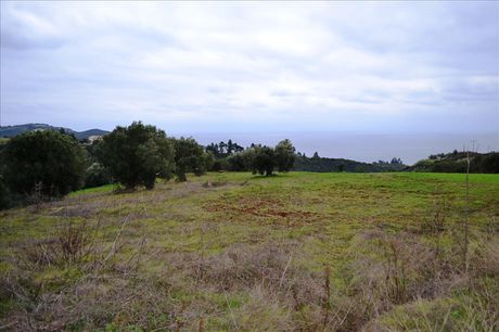 Land plot 9.500sqm for sale-Pallini » Agia Paraskevi