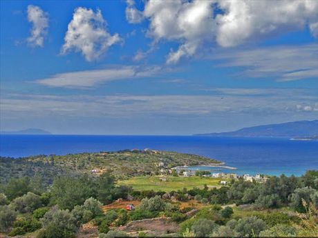 Land plot 13.500sqm for sale-Chios » Kampochoria