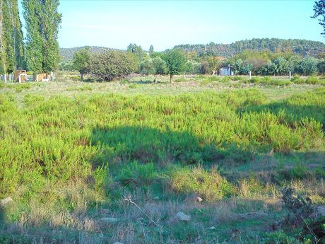 Land plot 3.200sqm for sale-Toroni » Sikia