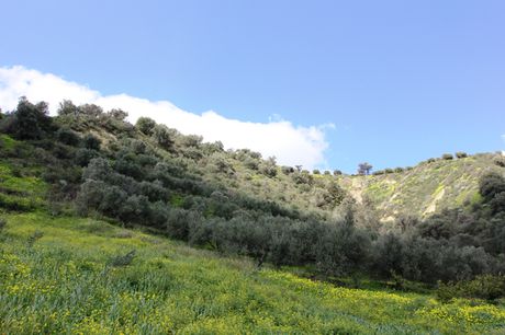 Land plot 7.494sqm for sale-Heraclion Cretes » Gournes