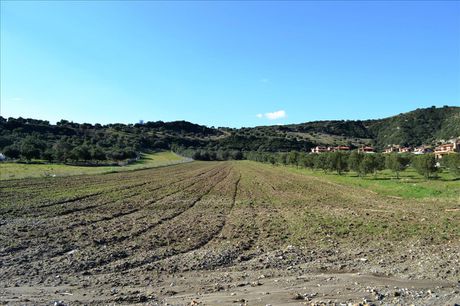 Land plot 15.000sqm for sale-Pallini » Chaniotis