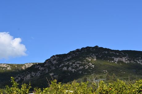 Οικόπεδο 700 τ.μ. για πώληση