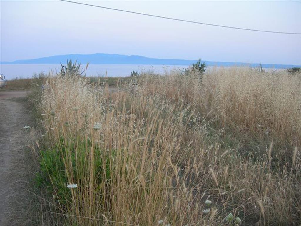 Οικόπεδο 6.000 τ.μ. προς πώληση, Δεβελίκι