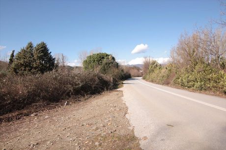 Land plot 4.500sqm for sale-Stagiron - Akanthou » Krioneri