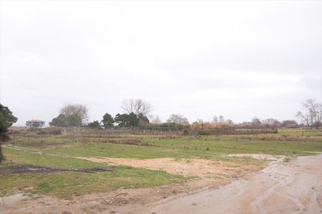 Land plot 2.500sqm for sale-Stagiron - Akanthou » Ierissos