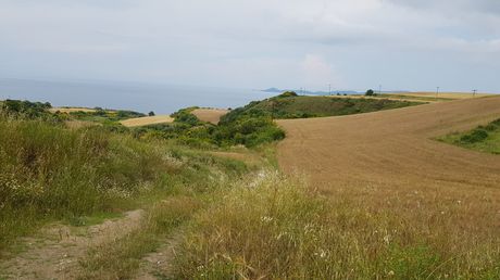 Land plot 7.000sqm for sale-Stagiron - Akanthou » Nea Roda