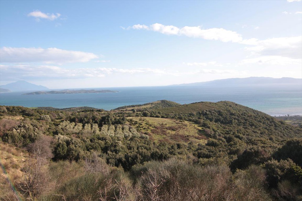 Οικόπεδο 12.000 τ.μ. προς πώληση, Ιερισσός