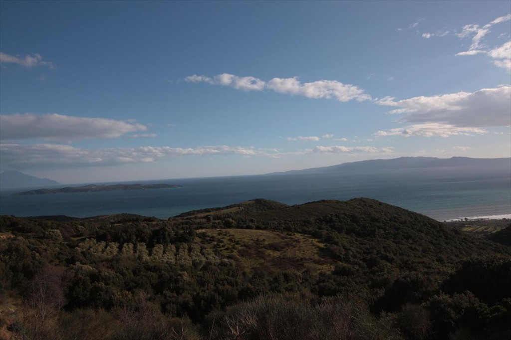 Οικόπεδο 12.000 τ.μ. προς πώληση, Ιερισσός