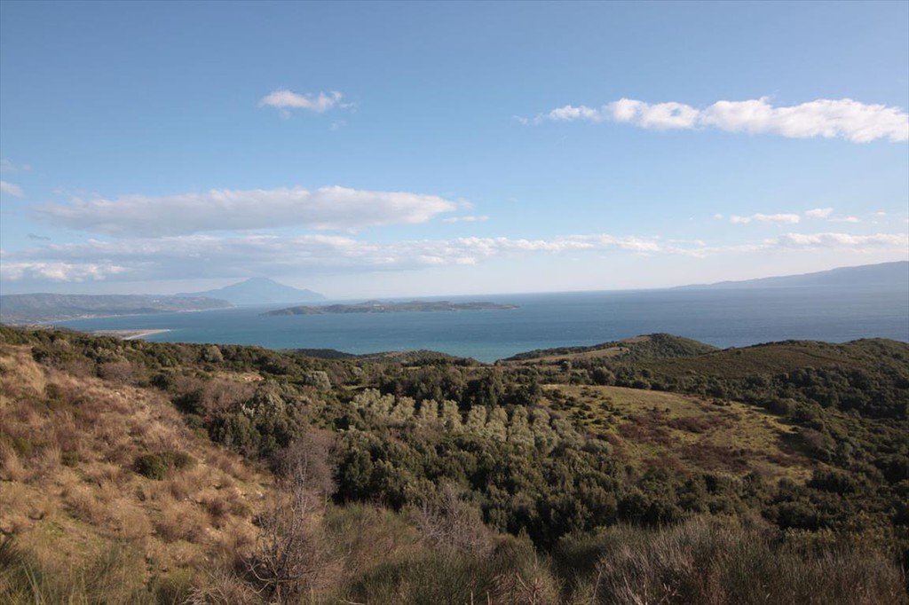 Οικόπεδο 12.000 τ.μ. προς πώληση, Ιερισσός