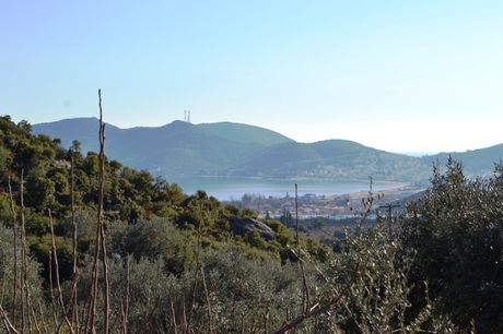 Land plot 5.500sqm for sale-Eleftheroupoli » Amisiana