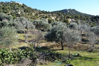 Οικόπεδο 5.500 τ.μ. για πώληση, Ν. Καβάλας, Ελευθερούπολη-thumb-4