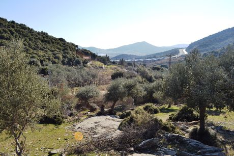 Land plot 4.000sqm for sale-Eleftheroupoli » Amisiana