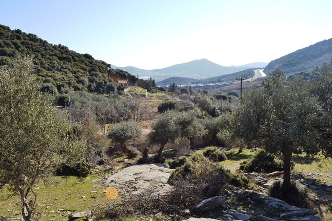 Οικόπεδο 4.000 τ.μ. για πώληση, Ν. Καβάλας, Ελευθερούπολη