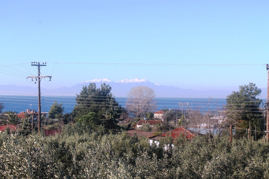 Οικόπεδο 22.000 τ.μ. προς πώληση, Παραλία Νέας Τριγλίας