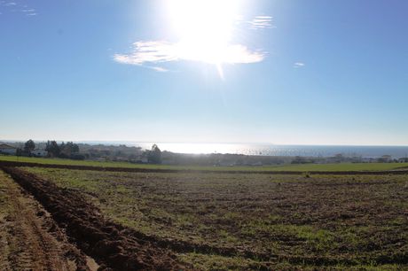 Land plot 6.300sqm for sale-Moudania » Dionisiou