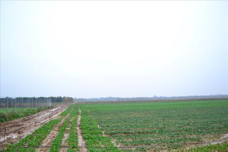 Land plot 4.200sqm for sale-Thermi » Loutra Thermis