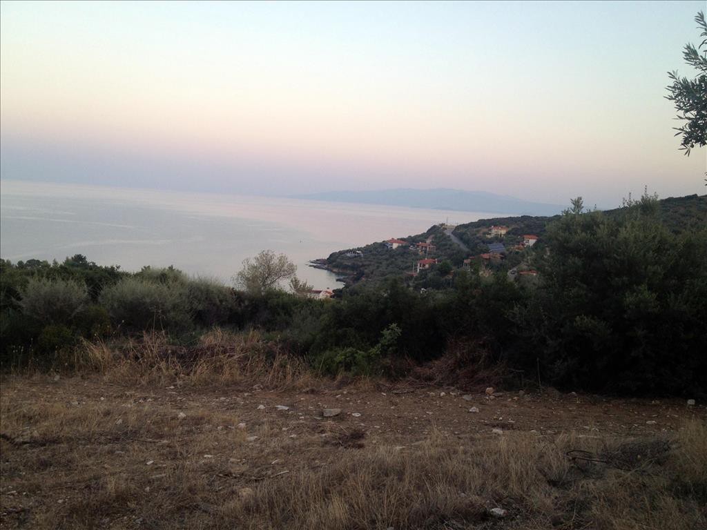 Οικόπεδο 7.070 τ.μ. προς πώληση, Άσσα