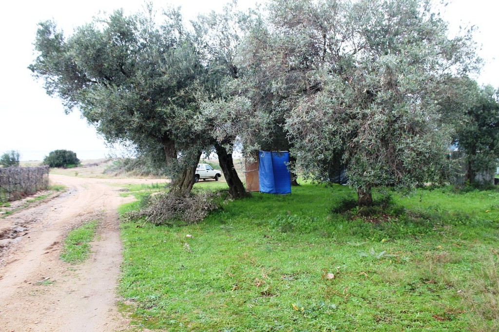 Οικόπεδο 4.125 τ.μ. προς πώληση, Κουμίτσα