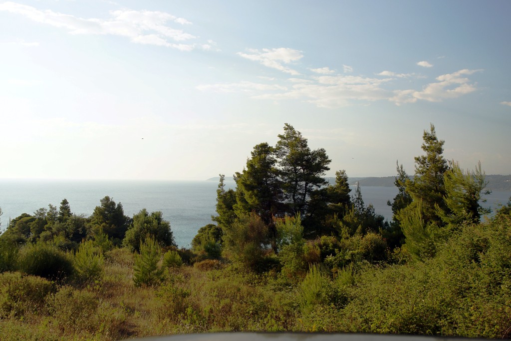 Οικόπεδο 7.700 τ.μ. προς πώληση, Ποσείδι