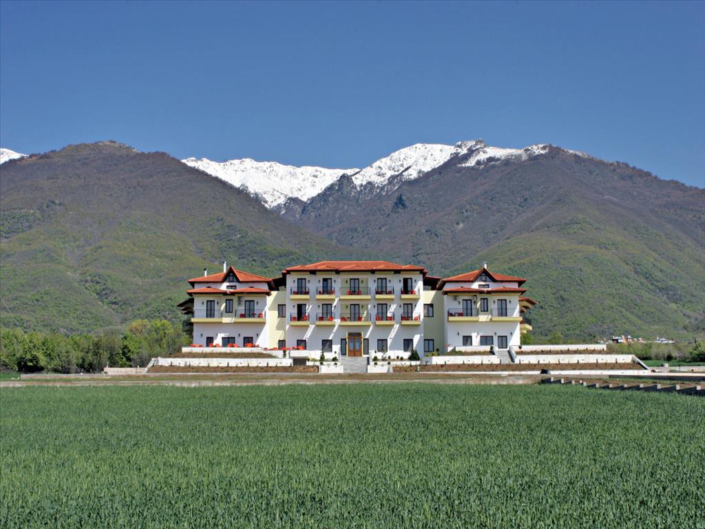 Ξενοδοχείο 1.688 τ.μ. πρός πώληση, Ν. Σερρών, Πετρίτσι