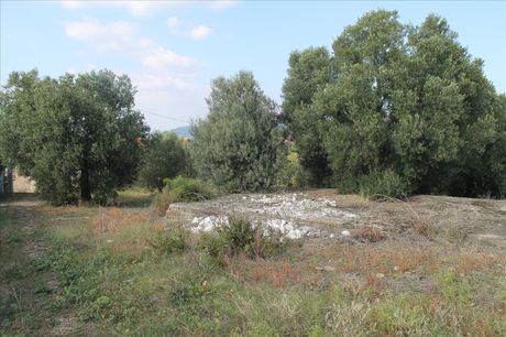 Land plot 3.659sqm for sale-Sithonia » Parthenonas