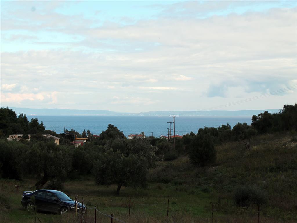 Οικόπεδο 880 τ.μ. προς πώληση, Πολύχρονο