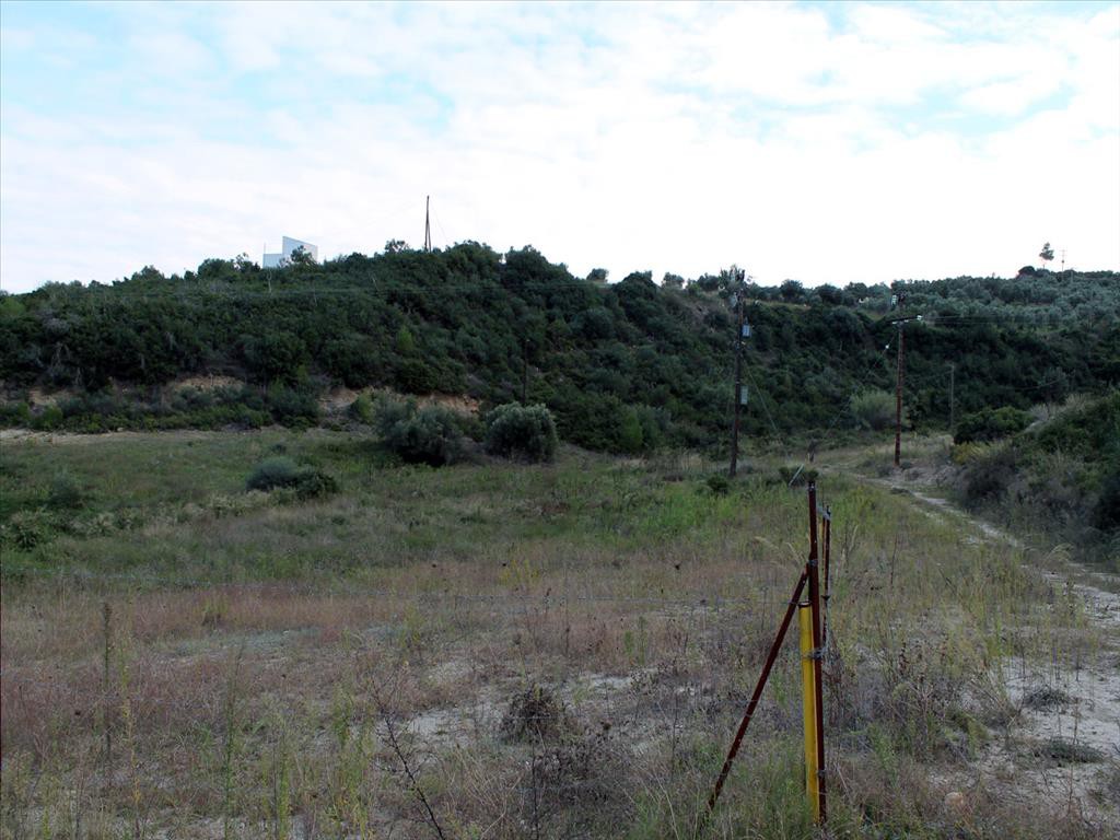 Οικόπεδο 880 τ.μ. προς πώληση, Πολύχρονο