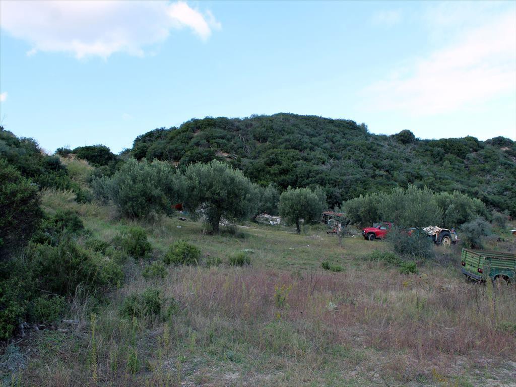 Οικόπεδο 880 τ.μ. προς πώληση, Πολύχρονο