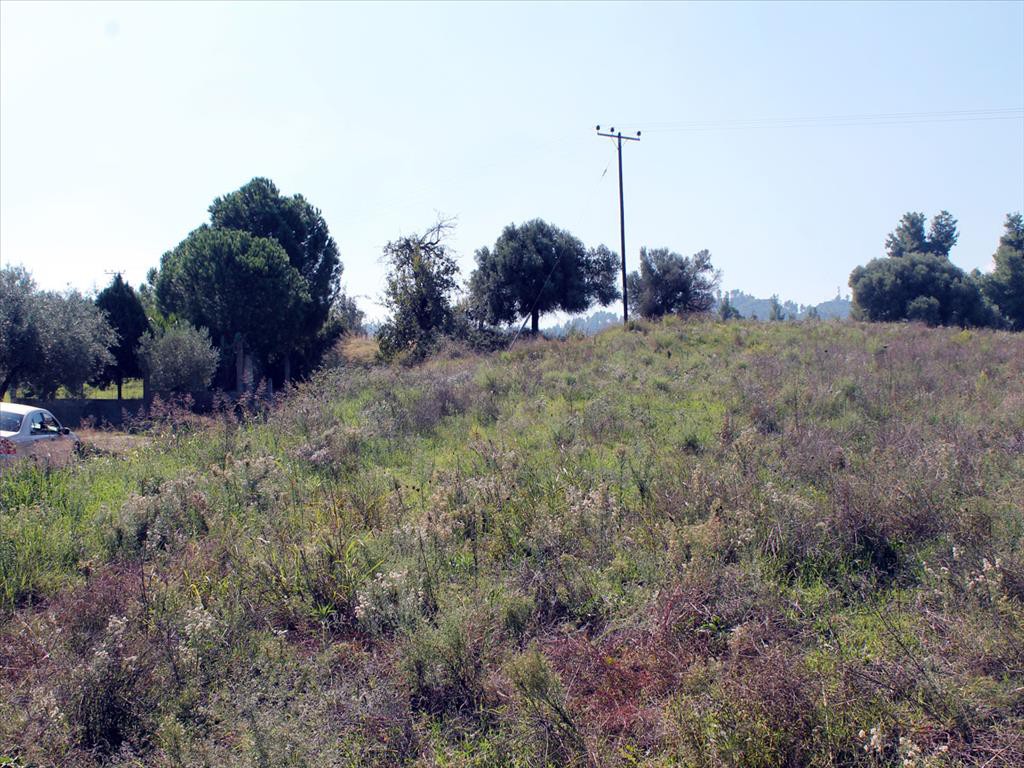 Οικόπεδο 22.500 τ.μ. προς πώληση, Παλιούρι Παλλήνης