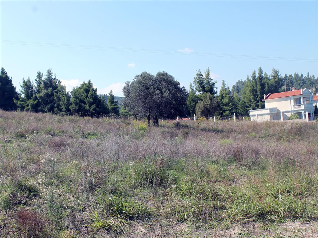 Οικόπεδο 22.500 τ.μ. προς πώληση, Παλιούρι Παλλήνης