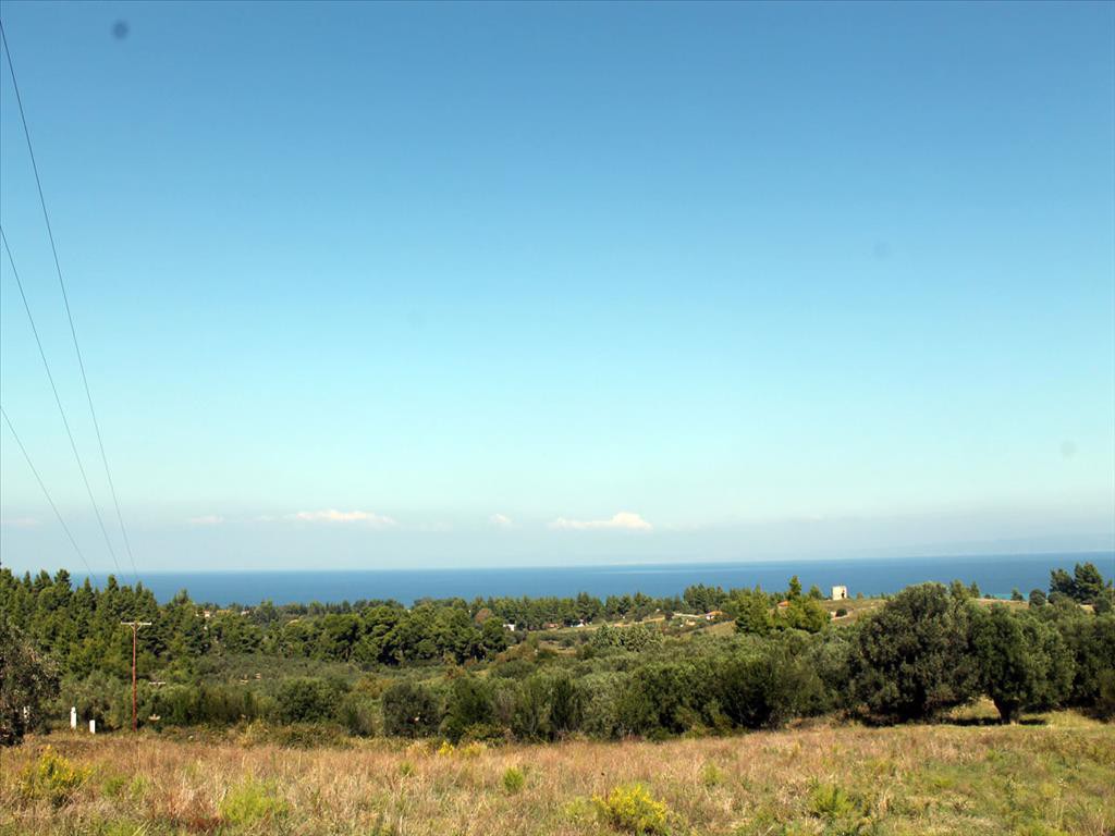 Οικόπεδο 22.500 τ.μ. προς πώληση, Παλιούρι Παλλήνης