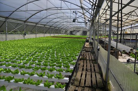 Other 115sqm for sale-Corfu » Melitieoi