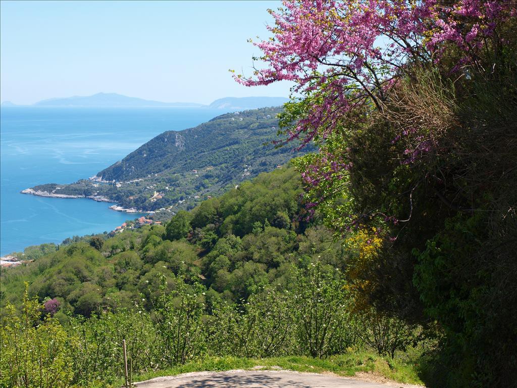 Βίλλα 383 τ.μ. πρός πώληση, Μαγνησία, Ζαγορά