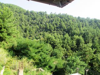 Μονοκατοικία 84 τ.μ. για πώληση, Ν. Καβάλας, Θάσος-thumb-12